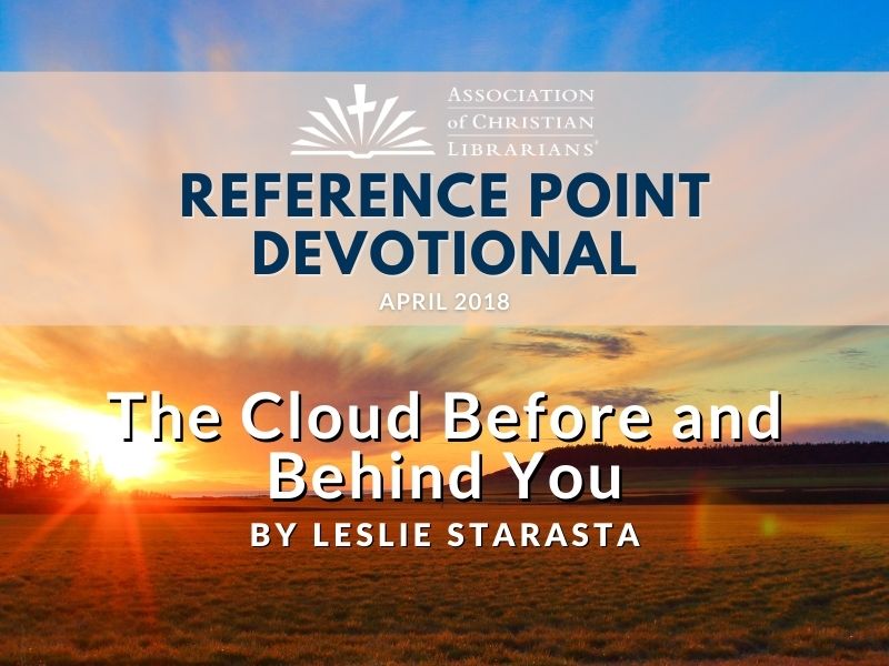 “Therefore, since we are surrounded by such a great cloud of witnesses, let us throw off everything that hinders and the sin that so easily entangles. And let us run with perseverance the race marked out for us.” (Hebrews 12:1 NIV)