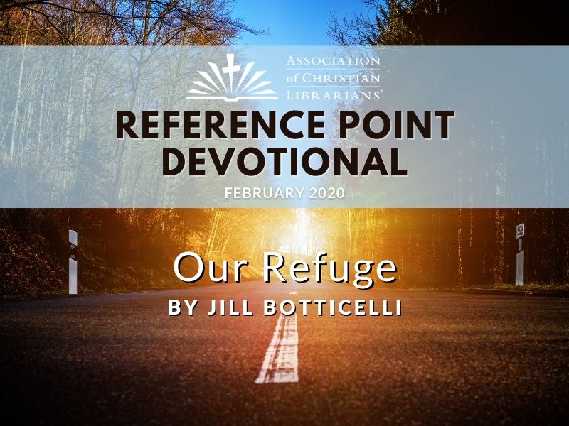 “The Lord is my rock, my fortress, and my deliverer, my God, my rock where I seek refuge, my shield and the horn of my salvation, my stronghold.” (Psalm 18:2 CSB)